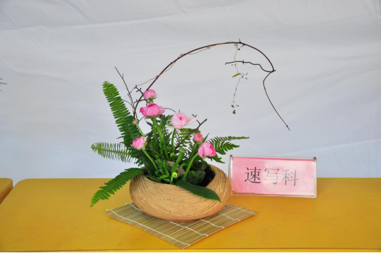 2018学年第一学期第12周回顾259.png