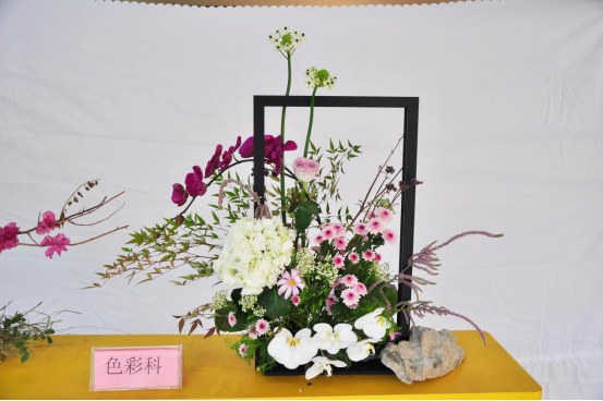 2018学年第一学期第12周回顾256.png