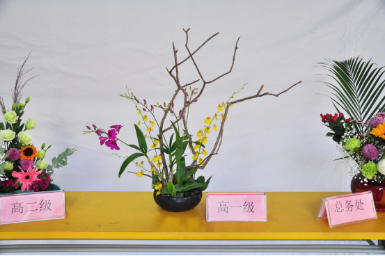 2018学年第一学期第12周回顾274.png