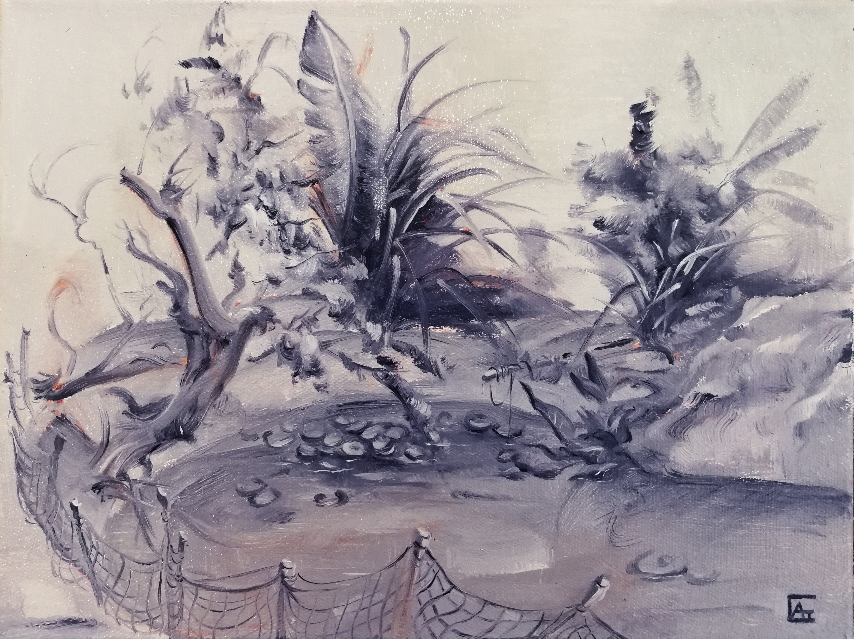 池.jpg