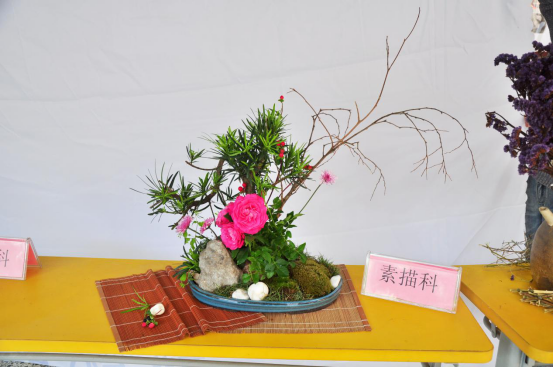 2018学年第一学期第12周回顾258.png