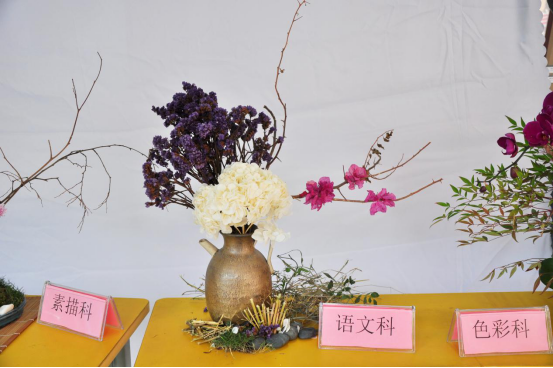 2018学年第一学期第12周回顾257.png